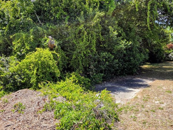 231 14th Street , Panama City Beach, FL 32413