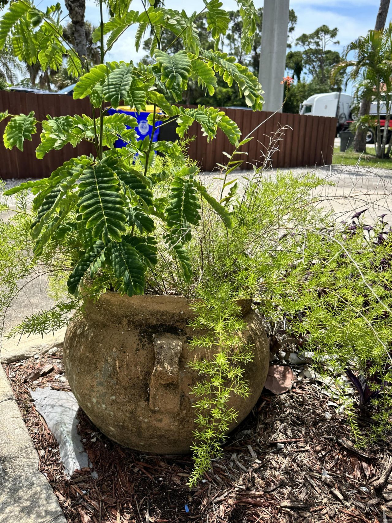 2814 SE Indian Street, Stuart, FL 34997 Photo