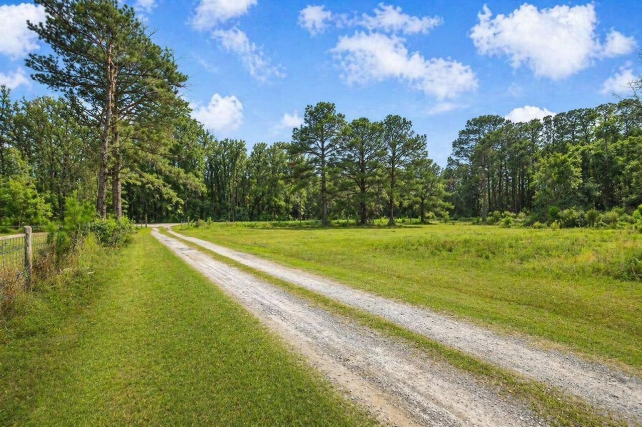 5636 Highway 162 Photo 4