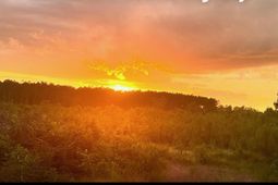 5030 Mccormick Highway photo 4