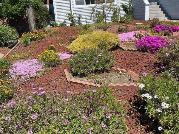 239 Killdeer Court, Foster City, CA 94404