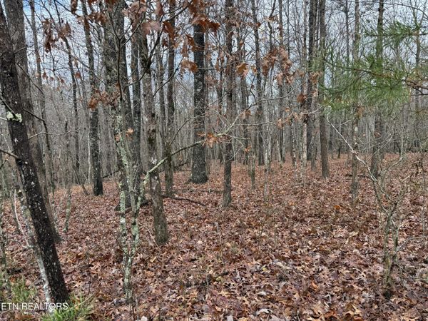 Icy Cove Tr, Monterey, TN 38574