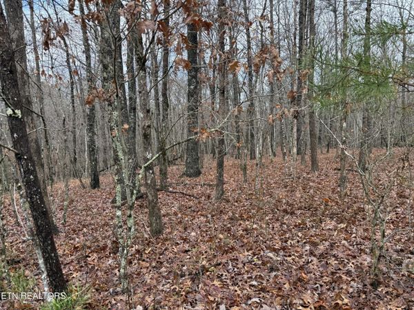 0 Icy Cove Tr , Monterey, TN 38574