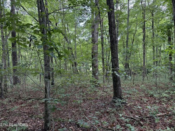 0 Icy Cove Tr, Unit 36, Monterey, TN 38574