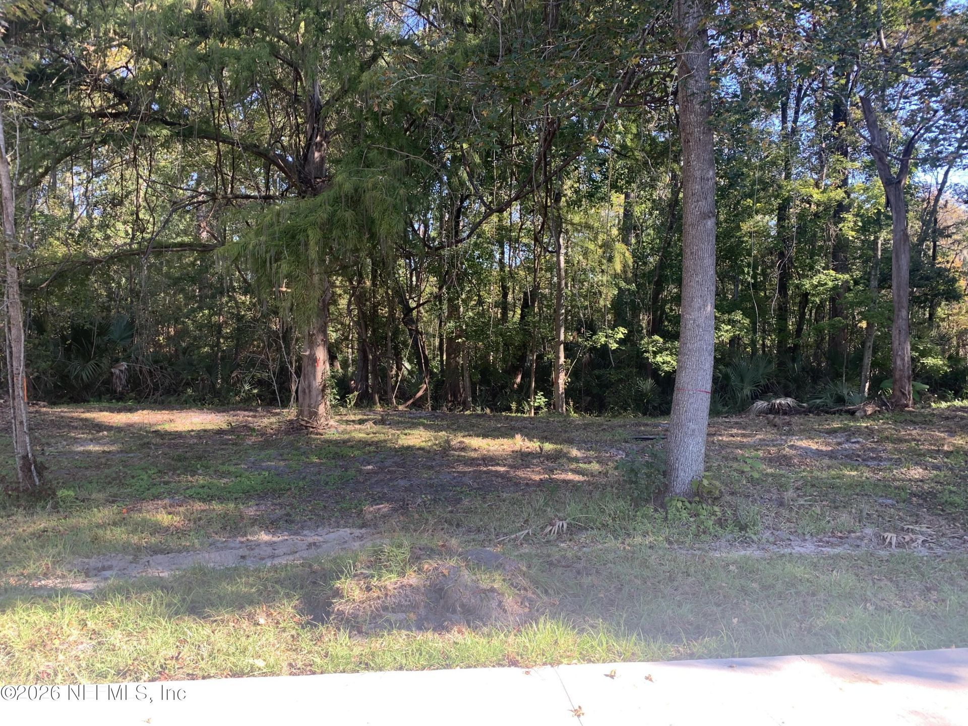 5871 Collins Road, Jacksonville, FL 32244 Photo
