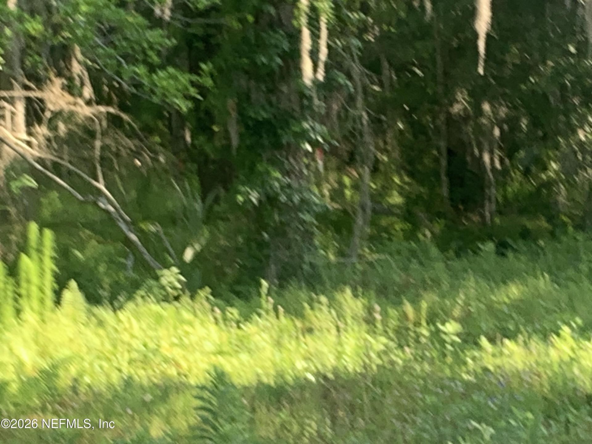 5871 Collins Road, Jacksonville, FL 32244 Photo