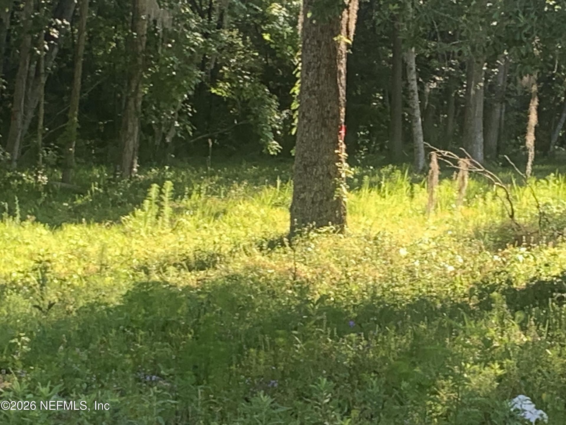 5871 Collins Road, Jacksonville, FL 32244 Photo