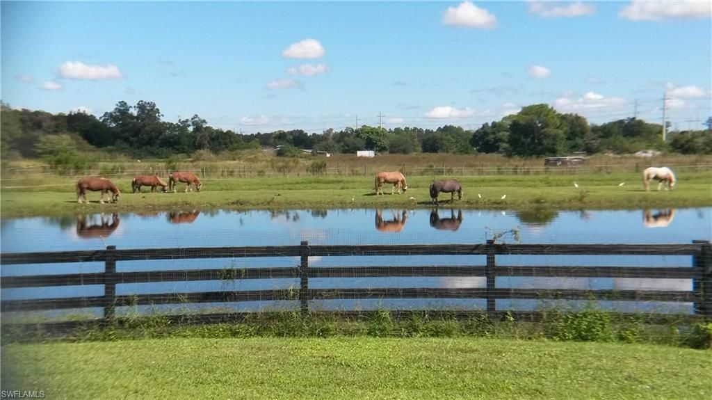 10551 Deal Rd, North Fort Myers, FL 33917 Photo