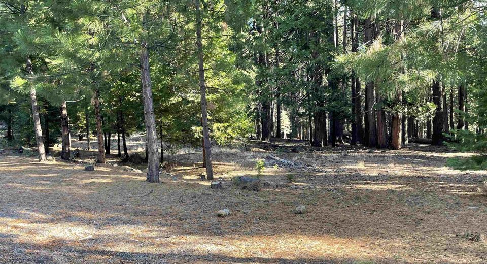 616 Clifford Drive, Lake Almanor, CA 96137 Photo