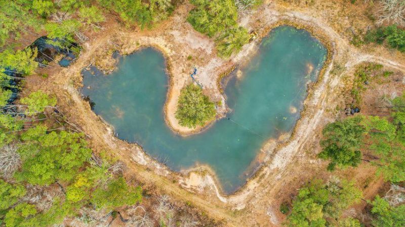 5636 Highway 162 Photo 4