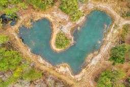 5636 Highway 162 photo 4