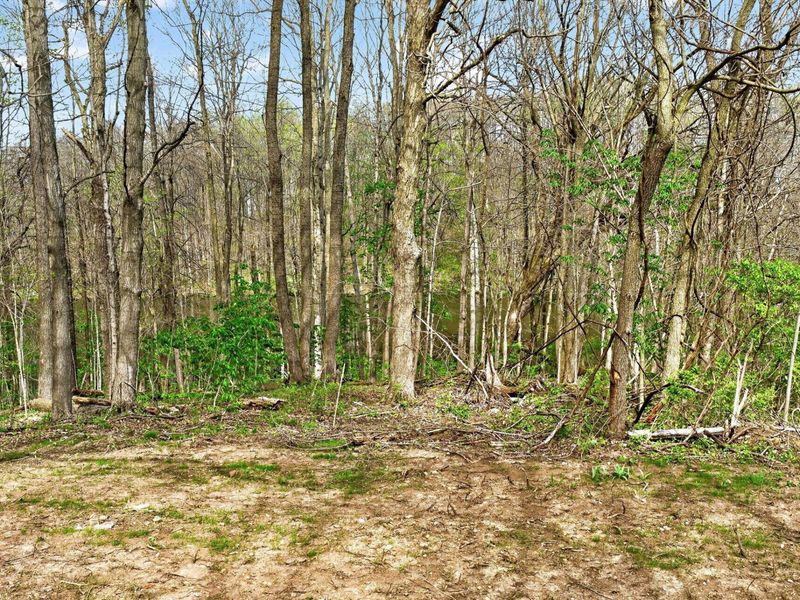 1848 County Road 25 N, Bellefontaine, OH 43311 Photo 69