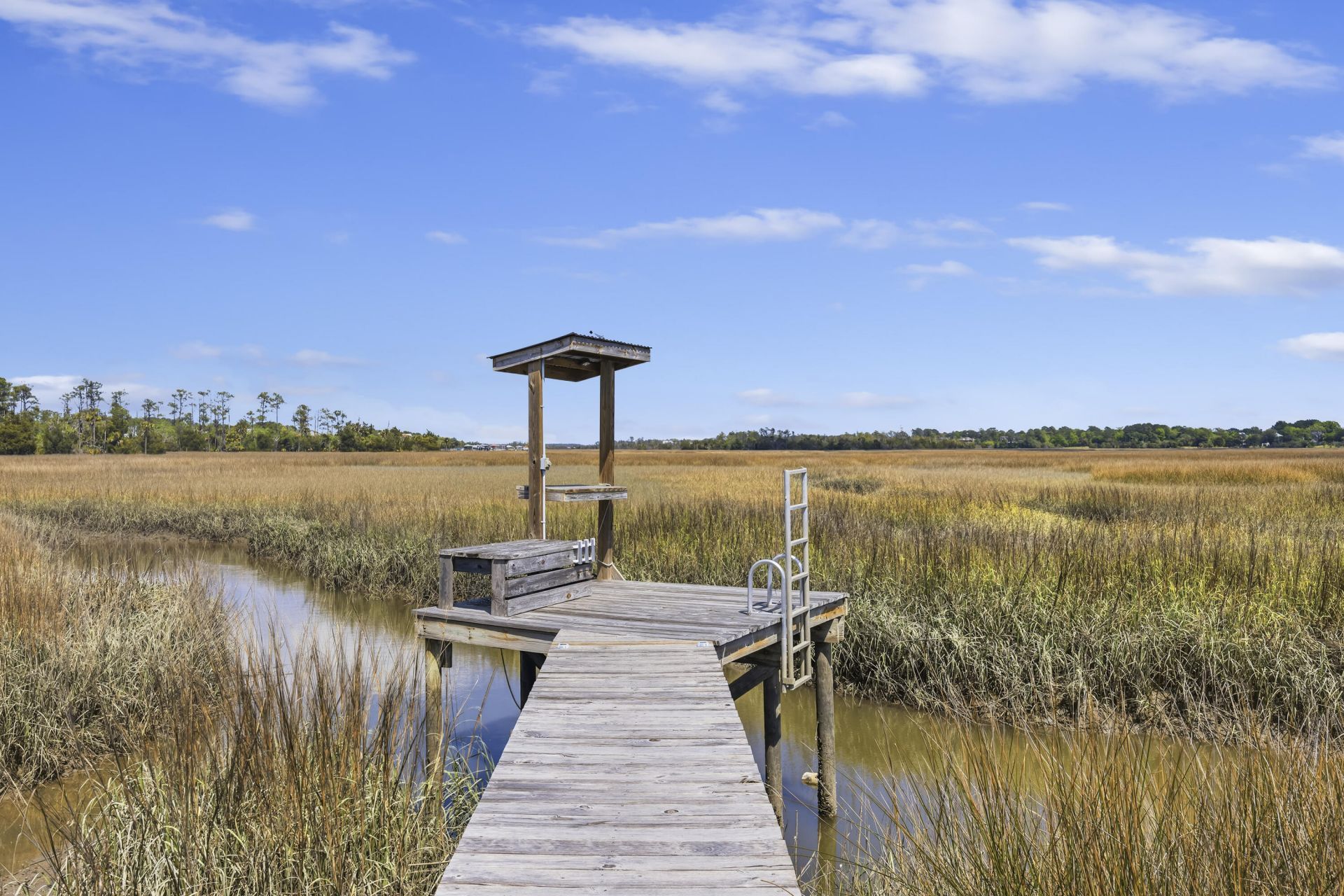 802 Kings Oak Court Photo 29