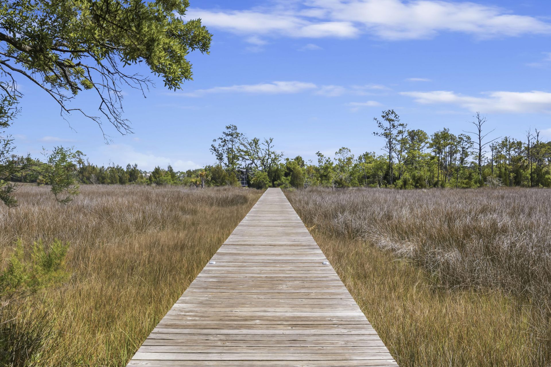 802 Kings Oak Court Photo 30