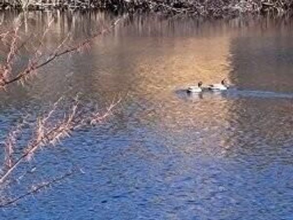 14 Arab Road , Lee, ME 04455