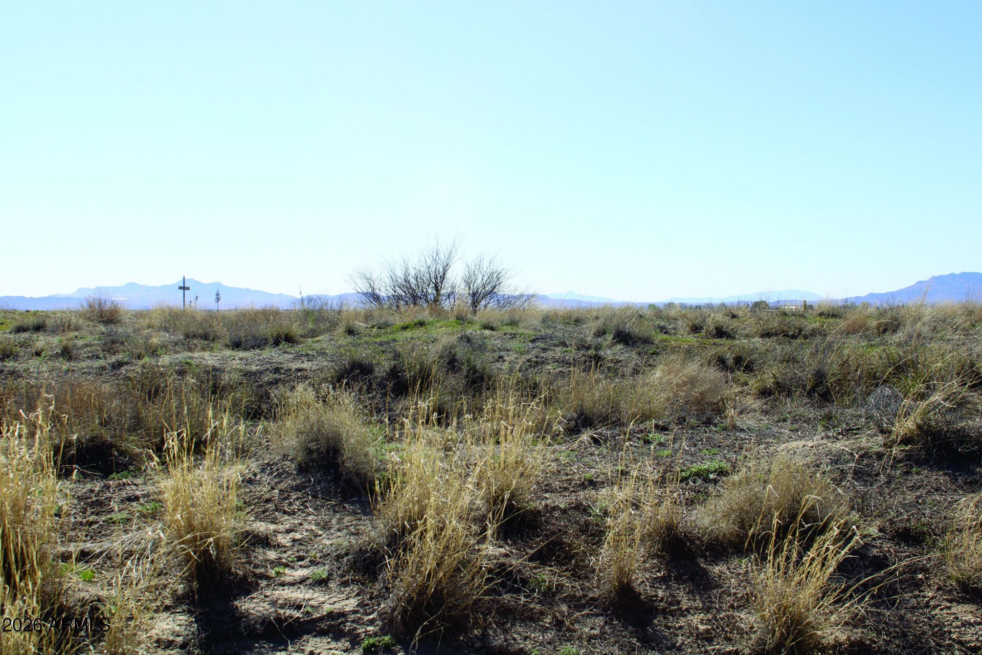 .55 Acres Hwy 186, Lot #1219, Willcox, AZ 85643 Main Photo