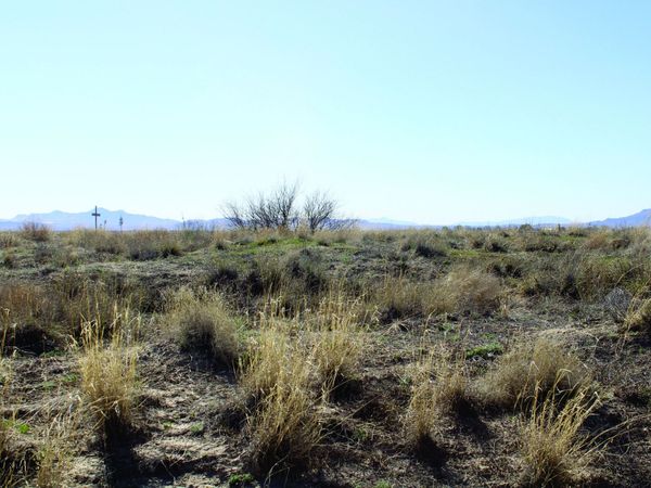 .55 Acres Hwy 186, Unit 1219, Willcox, AZ 85643