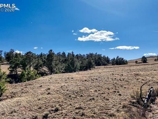 L5090L5097 Arikara Trail, Hartsel, CO 80449