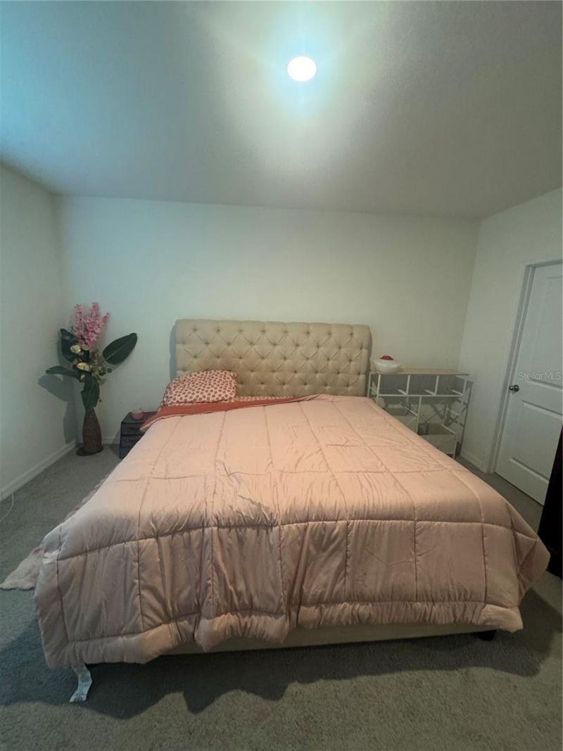 33074 Tulip Petal Lane, Wesley Chapel, FL 33545 Photo