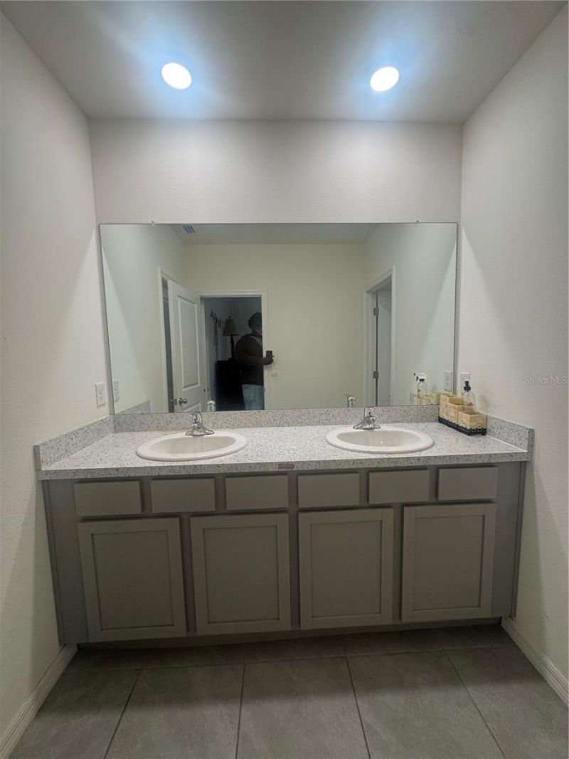 33074 Tulip Petal Lane, Wesley Chapel, FL 33545 Photo