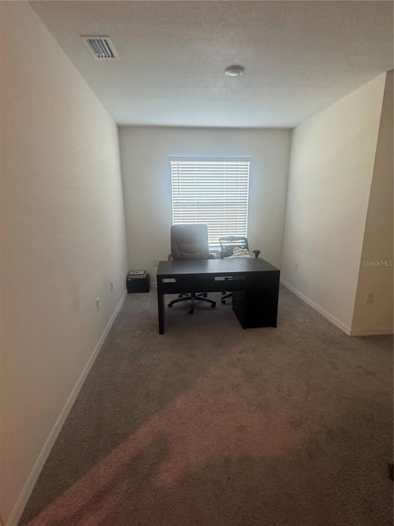 33074 Tulip Petal Lane, Wesley Chapel, FL 33545 Photo