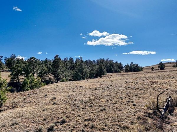 Lot 5090 & 5097 Arikara , Hartsel, CO 80449