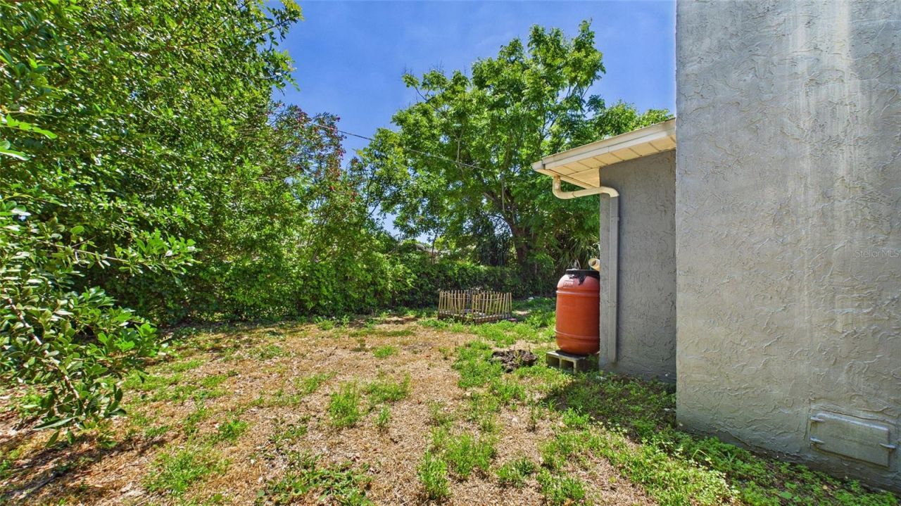 8840 Carmen Lane, Port Richey, FL 34668 Photo
