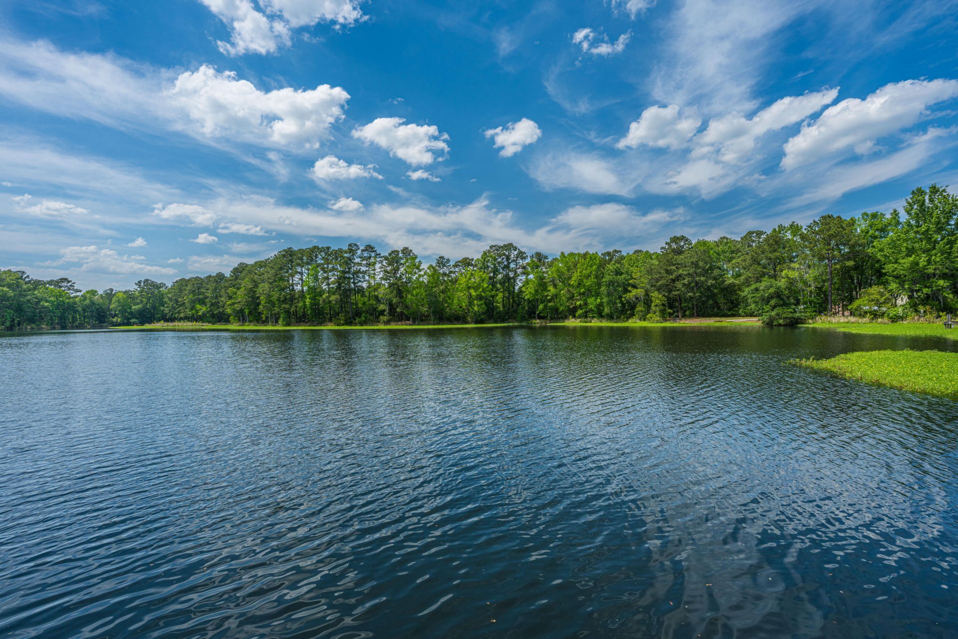 1725 Waterside Boulevard Photo 11