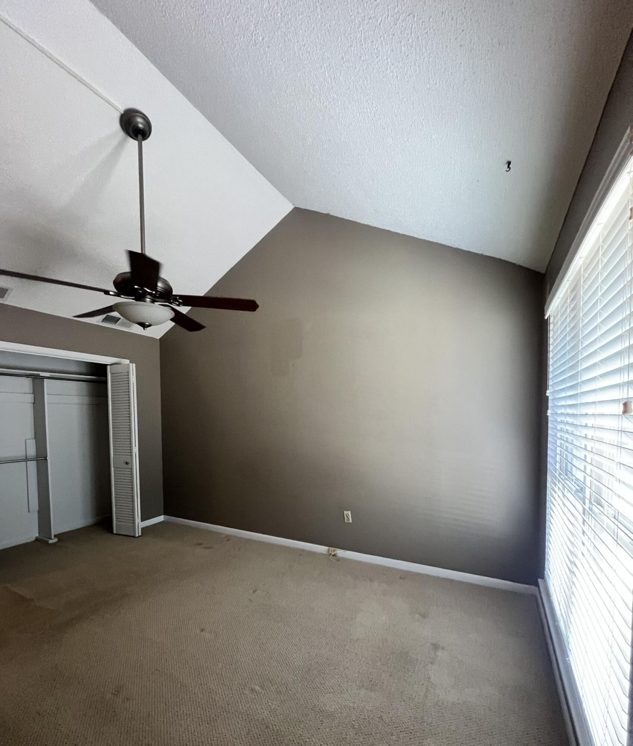 7 Brighton Circle Photo 22