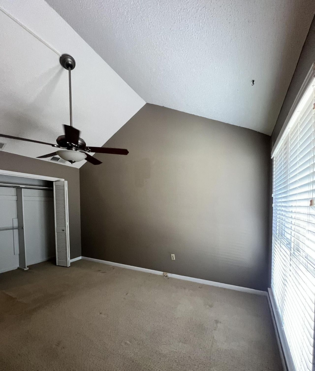 7 Brighton Circle Photo 22