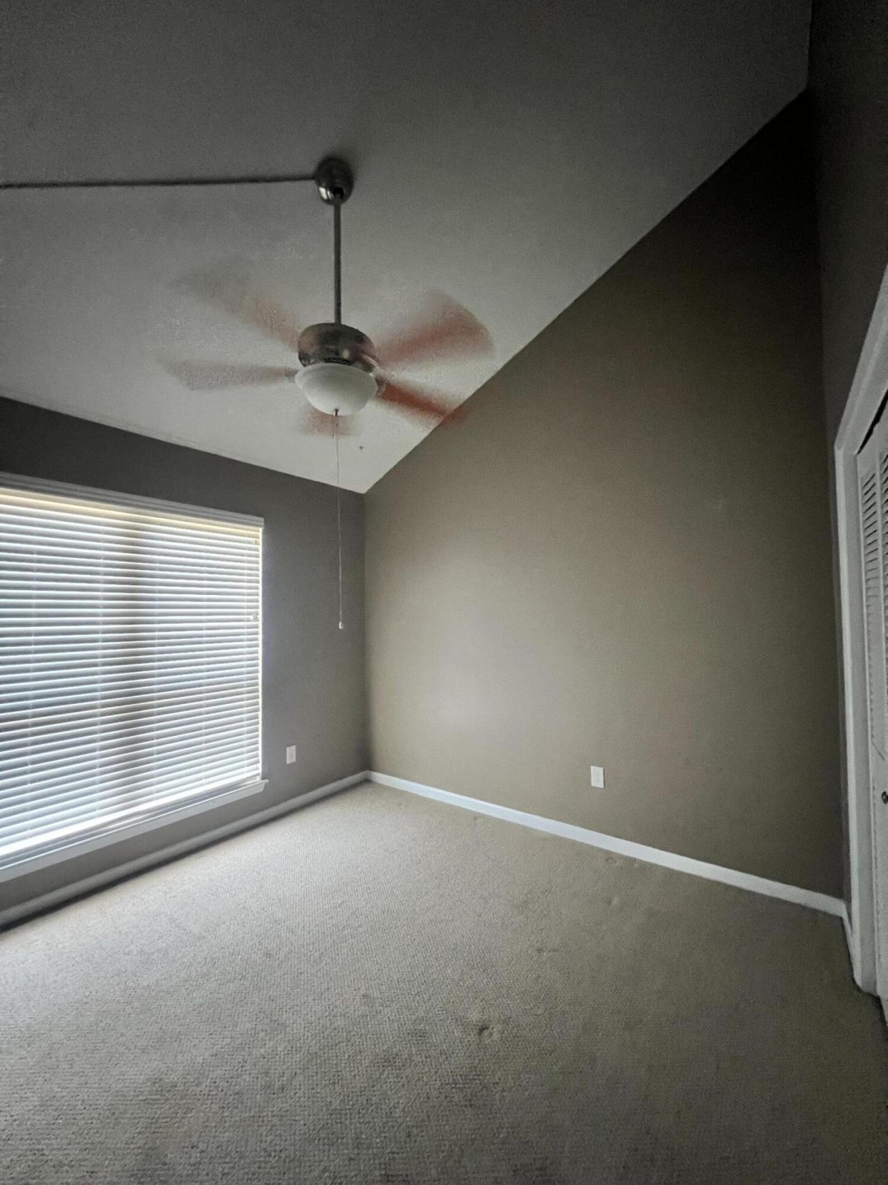 7 Brighton Circle Photo 26