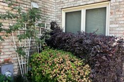 7 Brighton Circle photo 4