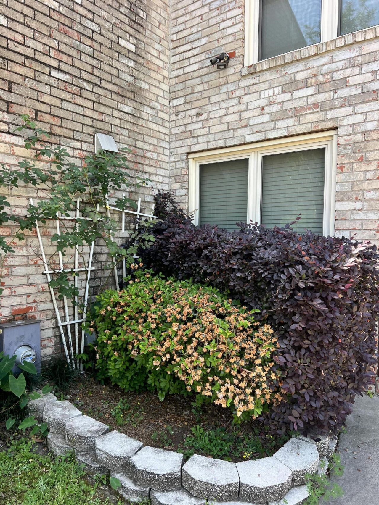 7 Brighton Circle Photo 4