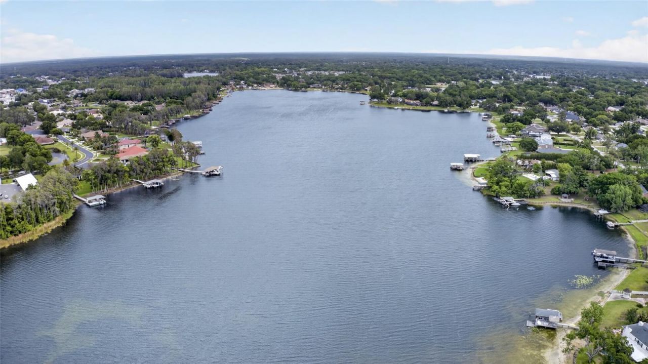3026 Lake Padgett Drive, Land O Lakes, FL 34639 Photo