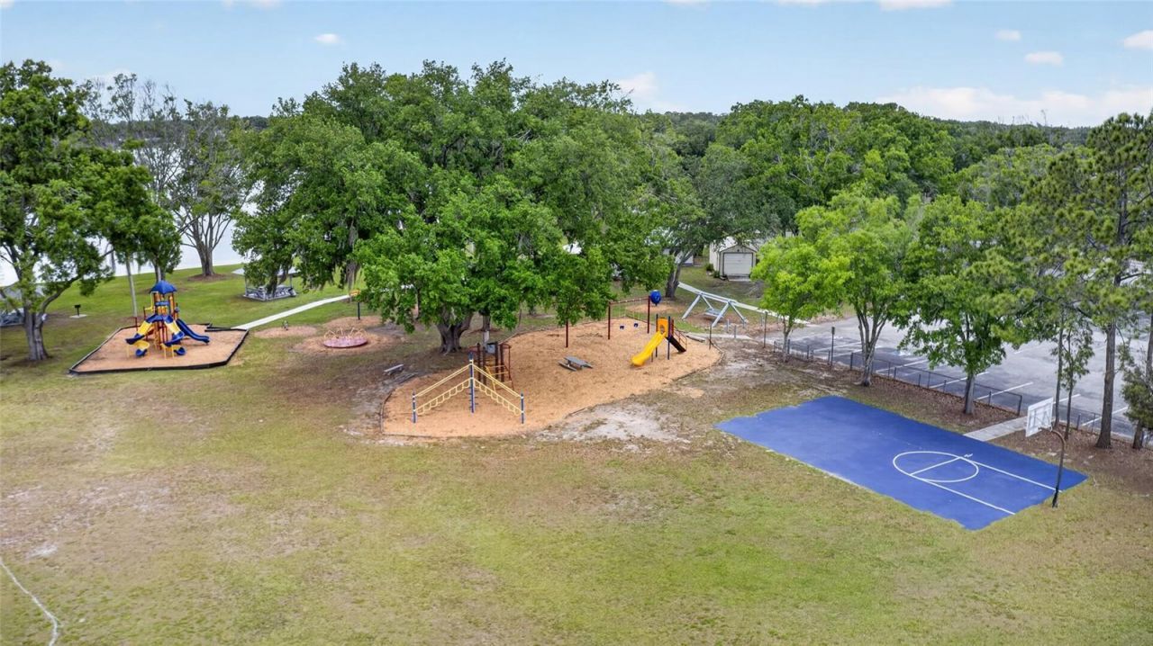 3026 Lake Padgett Drive, Land O Lakes, FL 34639 Photo