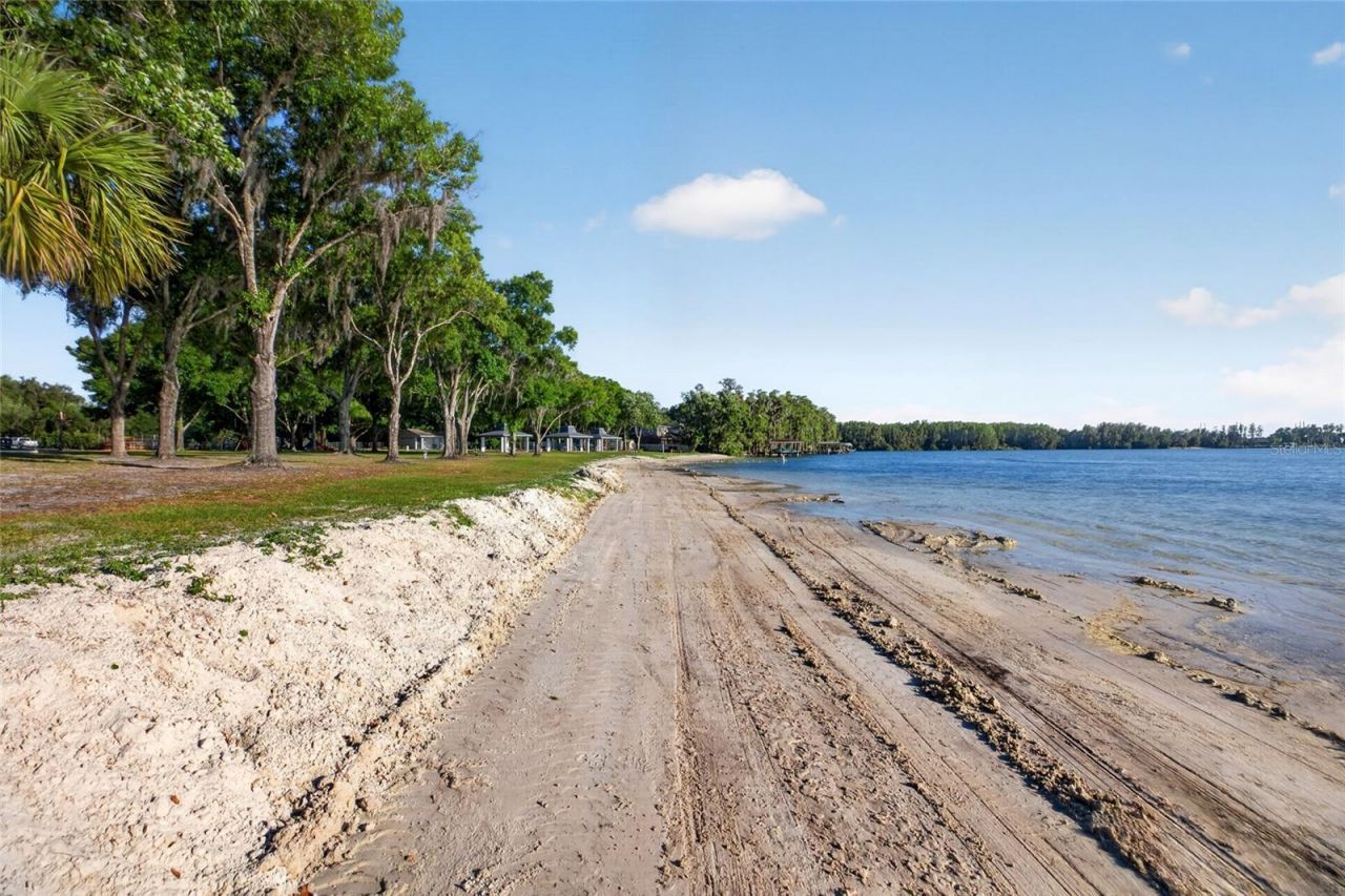 3026 Lake Padgett Drive, Land O Lakes, FL 34639 Photo