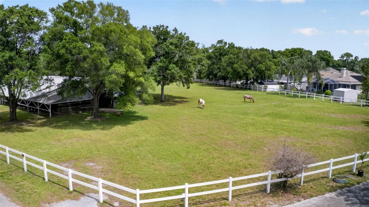 3026 Lake Padgett Drive, Land O Lakes, FL 34639 Photo