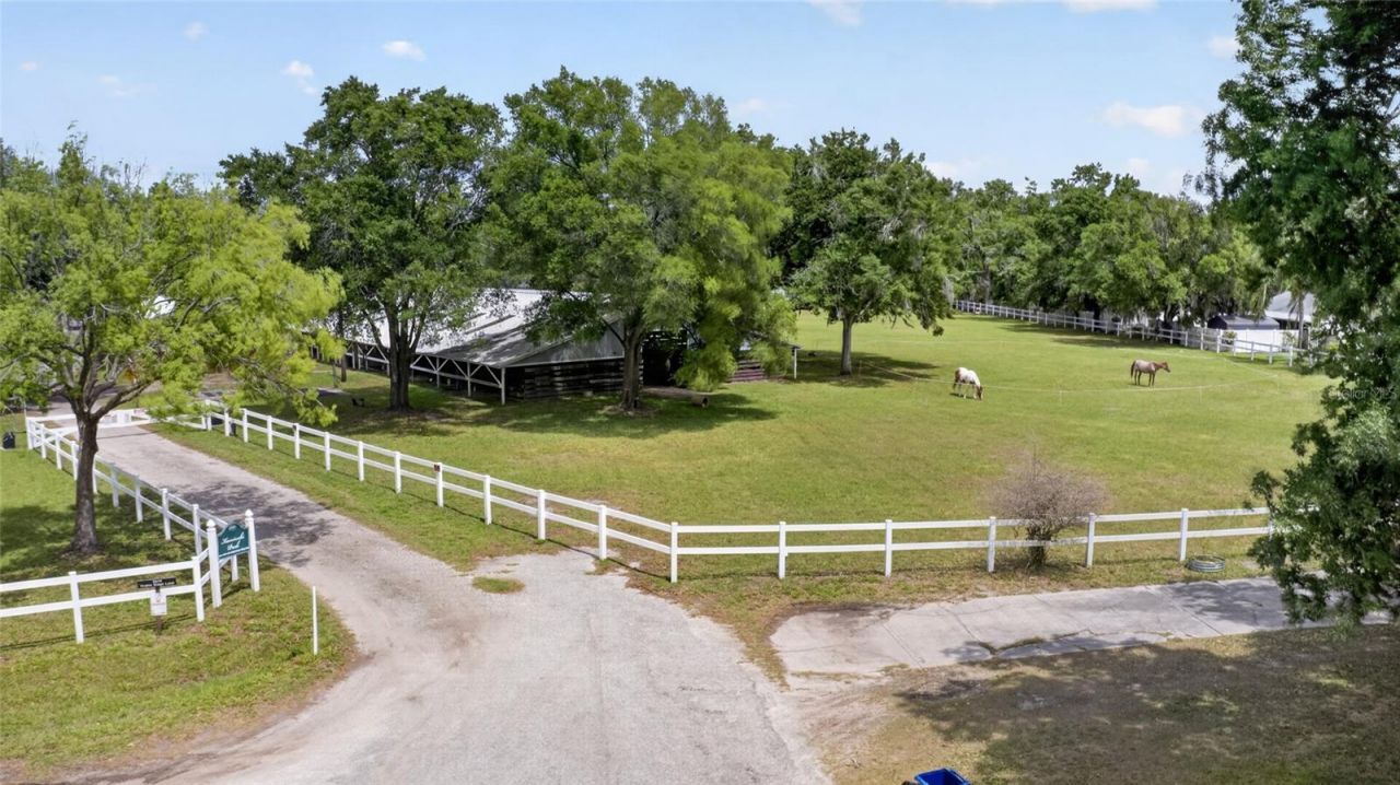 3026 Lake Padgett Drive, Land O Lakes, FL 34639 Photo