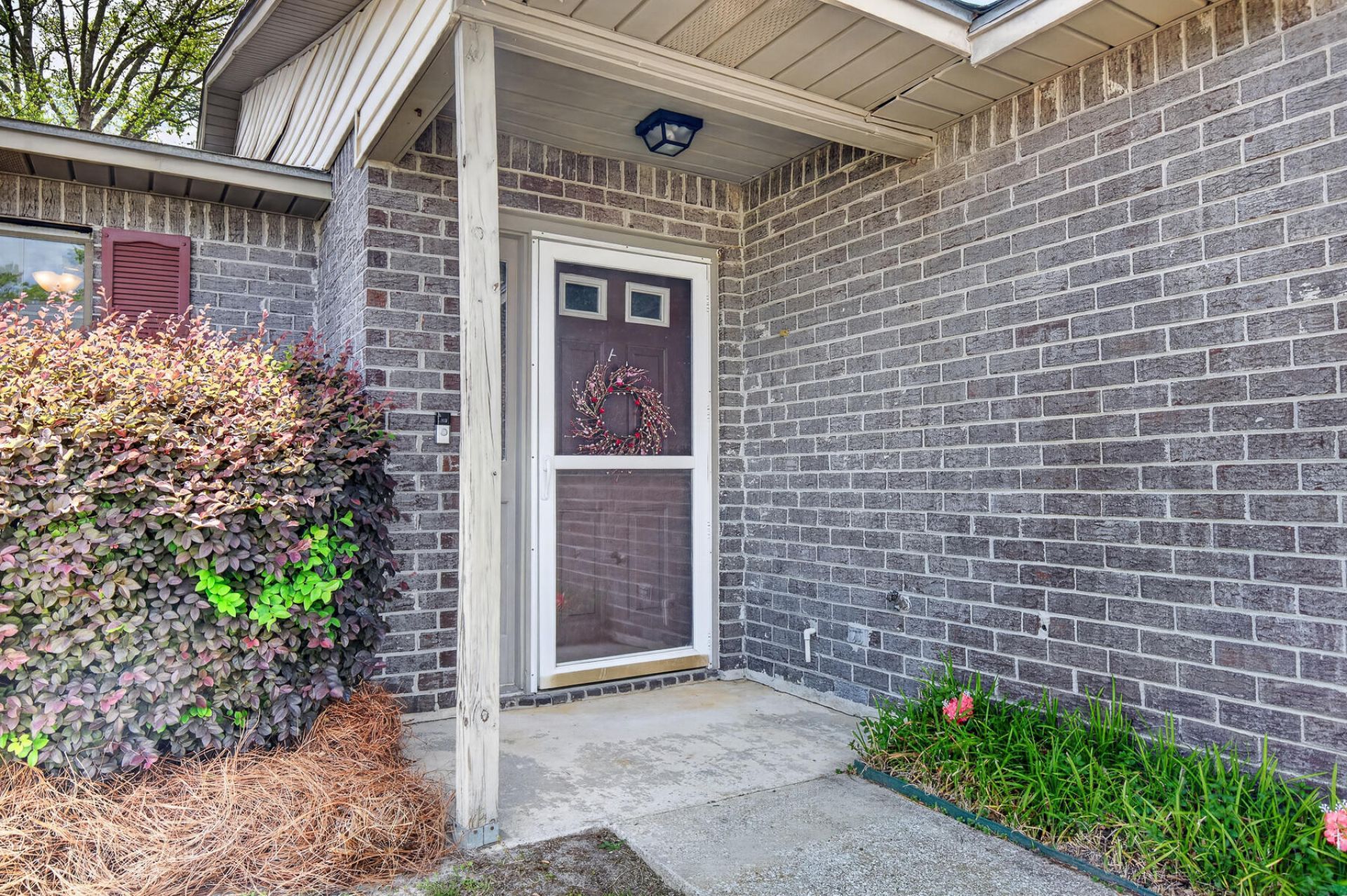 821 Winthrop Street Photo 6