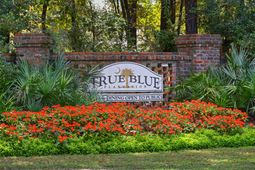 1015 Blue Stem Dr.  photo 4