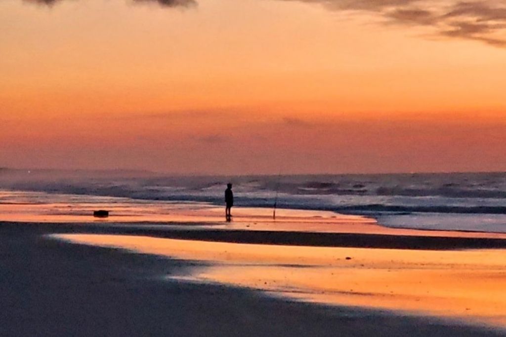 1015 Blue Stem Dr.  Photo 30