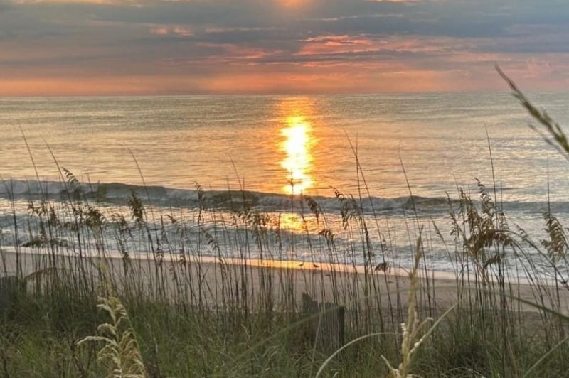 1015 Blue Stem Dr.  Photo 31