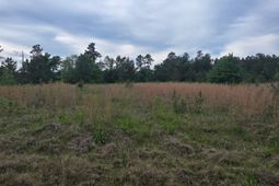 0 Syrup Mill Road photo 4