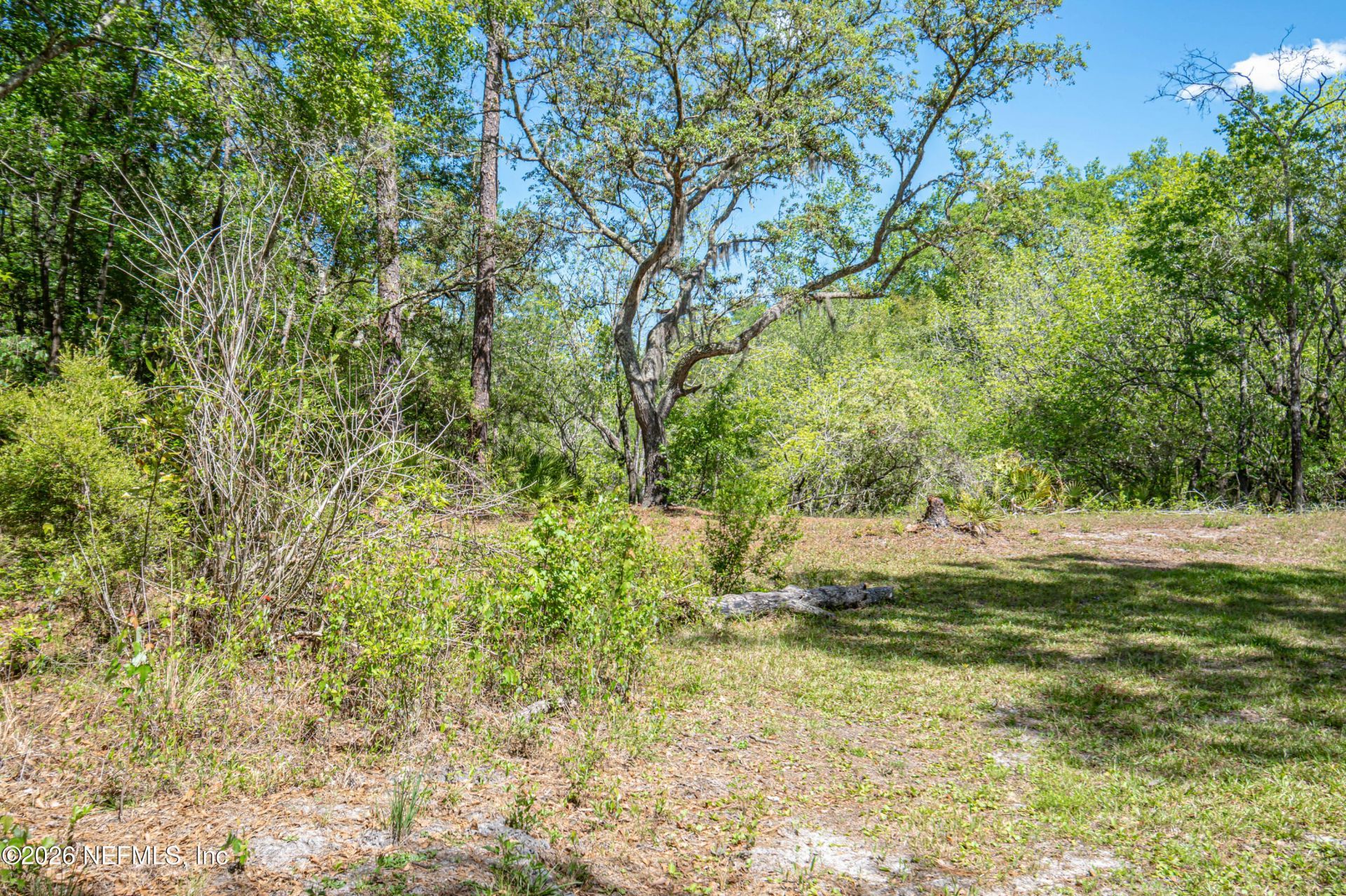 23221 Hassie Johns Road, Sanderson, FL 32087 Photo