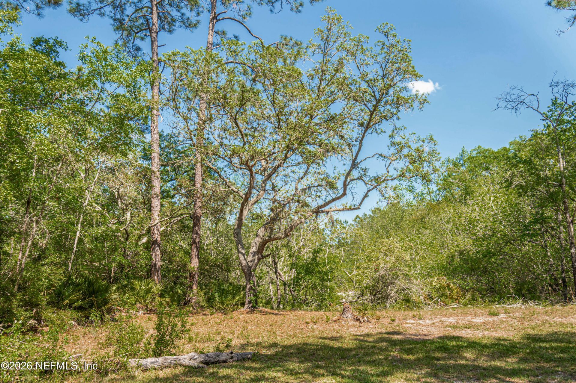 23221 Hassie Johns Road, Sanderson, FL 32087 Photo