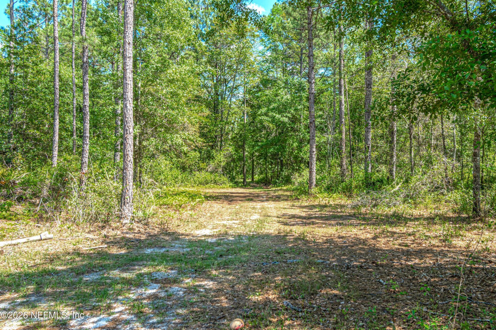 23221 Hassie Johns Road, Sanderson, FL 32087 Photo