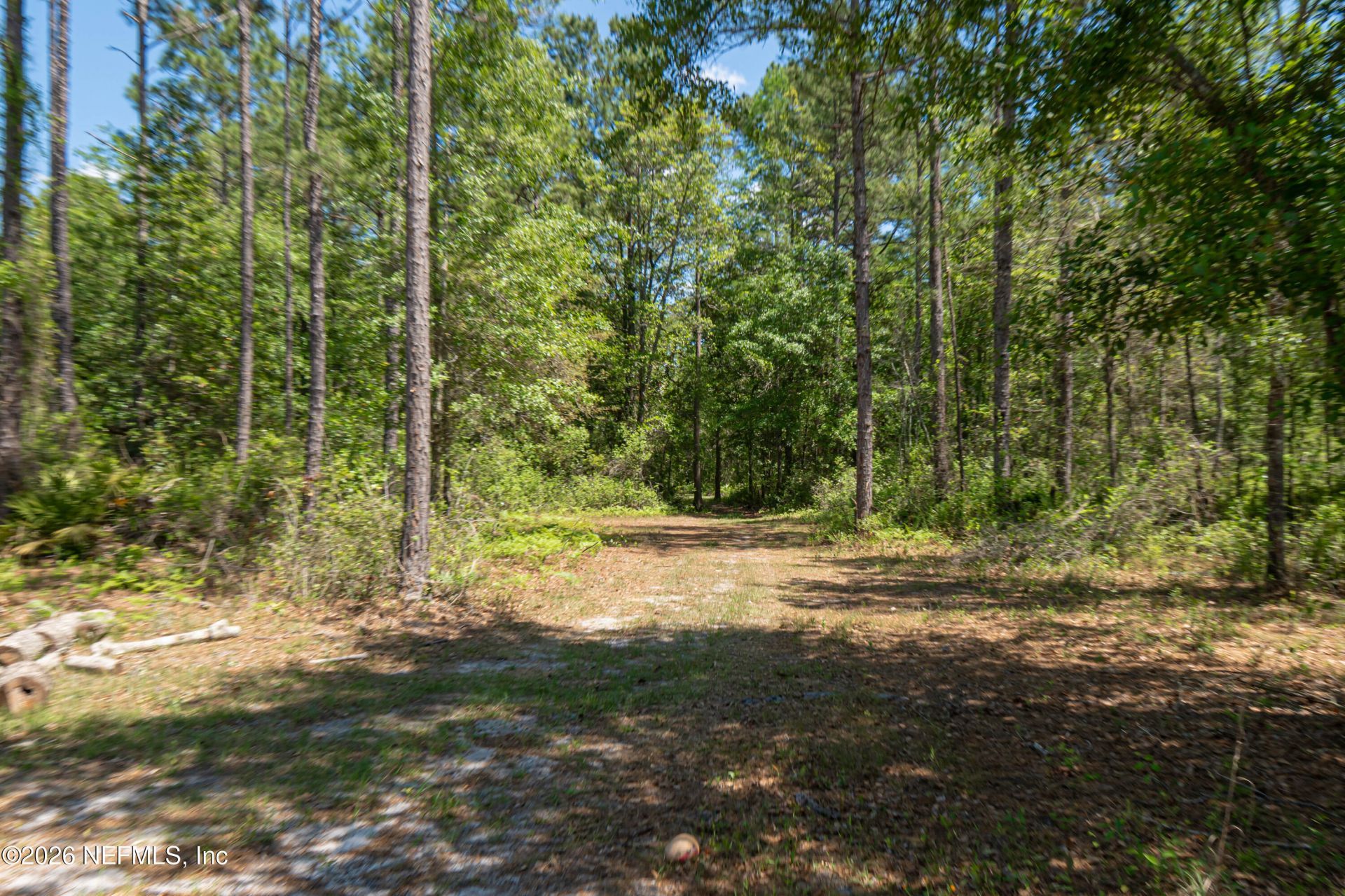 23221 Hassie Johns Road, Sanderson, FL 32087 Photo