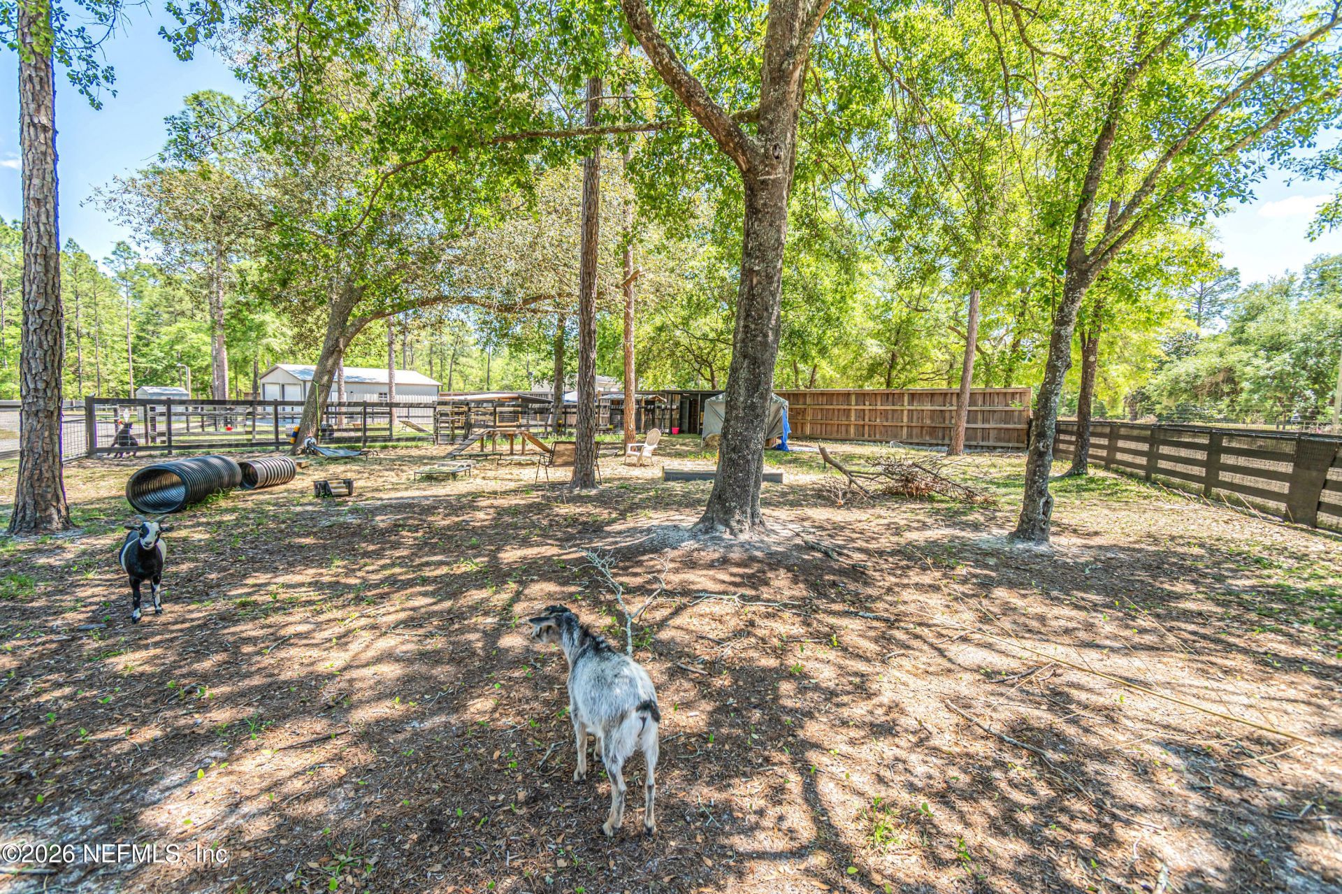 23221 Hassie Johns Road, Sanderson, FL 32087 Photo
