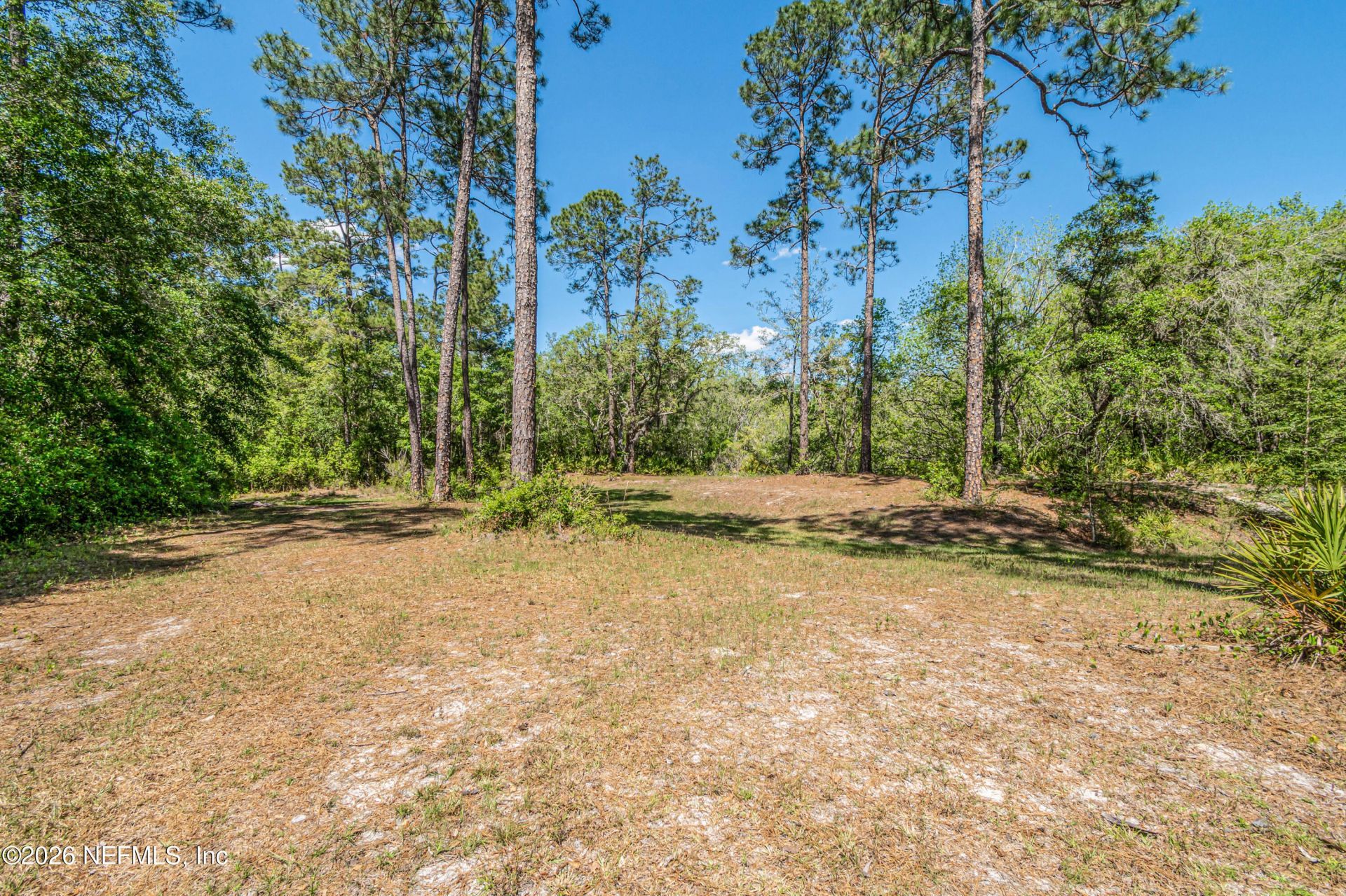 23221 Hassie Johns Road, Sanderson, FL 32087 Photo