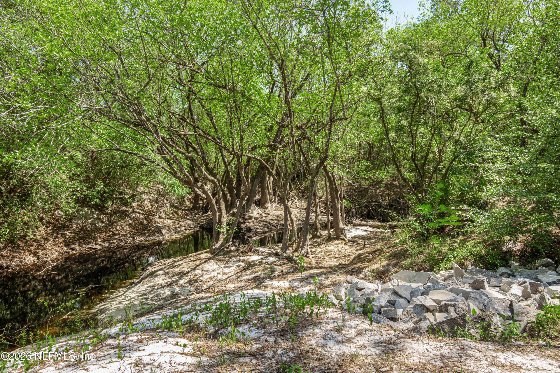 23221 Hassie Johns Road, Sanderson, FL 32087 Photo